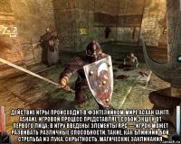  действие игры происходит в фэнтезийном мире асхан (англ. ashan). игровой процесс представляет собой экшен от первого лица; в игру введены элементы rpg — игрок может развивать различные способности, такие, как ближний бой, стрельба из лука, скрытность, магические заклинания.