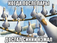 когда после пары достал синий кэмал