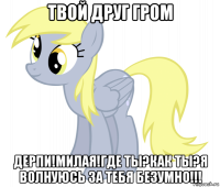твой друг гром дерпи!милая!где ты?как ты?я волнуюсь за тебя безумно!!!