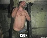  json