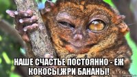  наше счастье постоянно - еж кокосы,жри бананы!