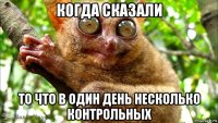когда сказали то что в один день несколько контрольных