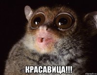  красавица!!!