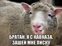  братан, я с кавказа, зашей мне писку