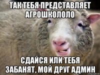 так тебя представляет агрошкололо сдайся или тебя забанят, мой друг админ