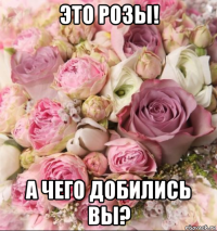 это розы! а чего добились вы?