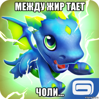 между жир тает чоли...