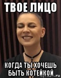 твое лицо когда ты хочешь быть котейкой
