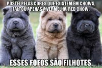 postei pelas cores que existem em chows, faltou apenas a vermelha, red chow. esses fofos são filhotes,