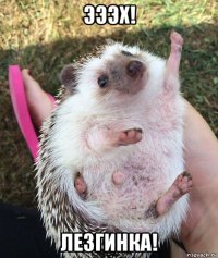 эээх! лезгинка!