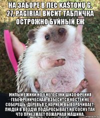 на заборе в лес kaštonų g. 27, pagiriai висит табличка острожно буйный еж милый ежики но у него суки шизофрения гебефреническая. взбесится костей не соберешь. деревья с корнем выворачивает. людей в воздух подбрасывает на сосну так что приезжает пожарная машина.