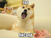 ты писька