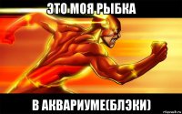 это моя рыбка в аквариуме(блэки)