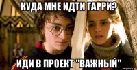 куда мне идти гарри? иди в проект "важный"