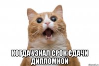 когда узнал срок сдачи дипломной