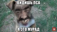 видишь пса а это мурад