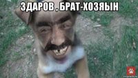 здаров , брат-хозяын 