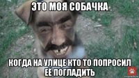 это моя собачка когда на улице кто то попросил её погладить