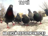 ты чё на гусей переключился?