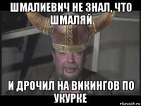 шмалиевич не знал, что шмаляй и дрочил на викингов по укурке