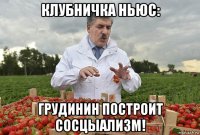 клубничка ньюс: грудинин построит сосцыализм!