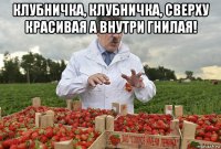 клубничка, клубничка, сверху красивая а внутри гнилая! 