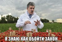  я знаю как обойти закон