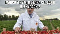 максим ну что белка сегодня вернулась ? 