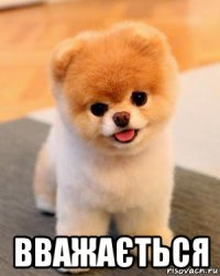  вважається
