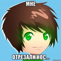 мне отрезали нос...