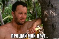  прощай мой друг...