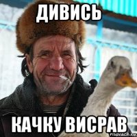 дивись качку висрав