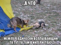...а что.... мем переодически всплывающий то тут то там в интернетах?