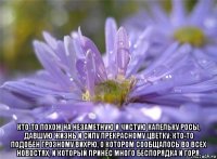 кто-то похож на незаметную и чистую капельку росы, давшую жизнь и силу прекрасному цветку; кто-то подобен грозному вихрю, о котором сообщалось во всех новостях, и который принёс много беспорядка и горя.