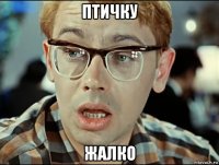 птичку жалко