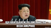  ща как ебанем по америке по всей америке