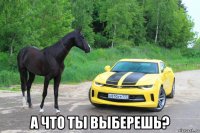  а что ты выберешь?