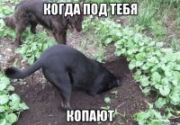 когда под тебя копают