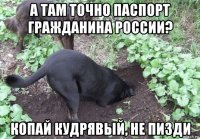 а там точно паспорт гражданина россии? копай кудрявый, не пизди