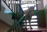 ой, прив, а я тебя жду 
