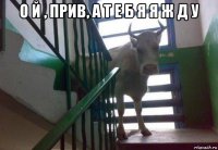 о й , прив, а т е б я я ж д у 