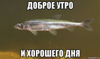 доброе утро и хорошего дня