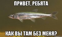 привет, ребята как вы там без меня?