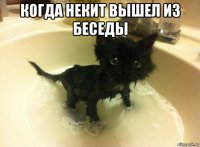 когда некит вышел из беседы 
