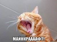  майнкраааафт!