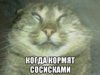  когда кормят сосисками