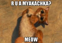 r u a myakachka? meow