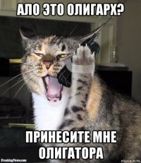 ало это олигарх? принесите мне олигатора