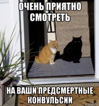 очень приятно смотреть на ваши предсмертные конвульсии