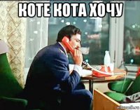 коте кота хочу 